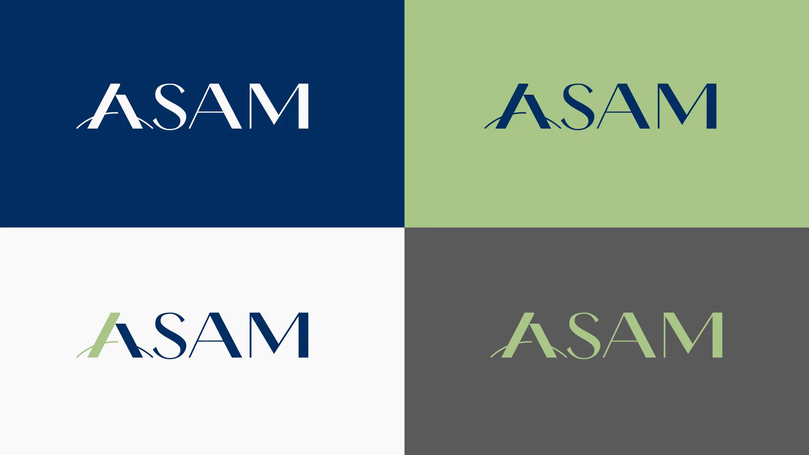 Grade com as versões do logotipo sobre azul, verde, branco e cinza.