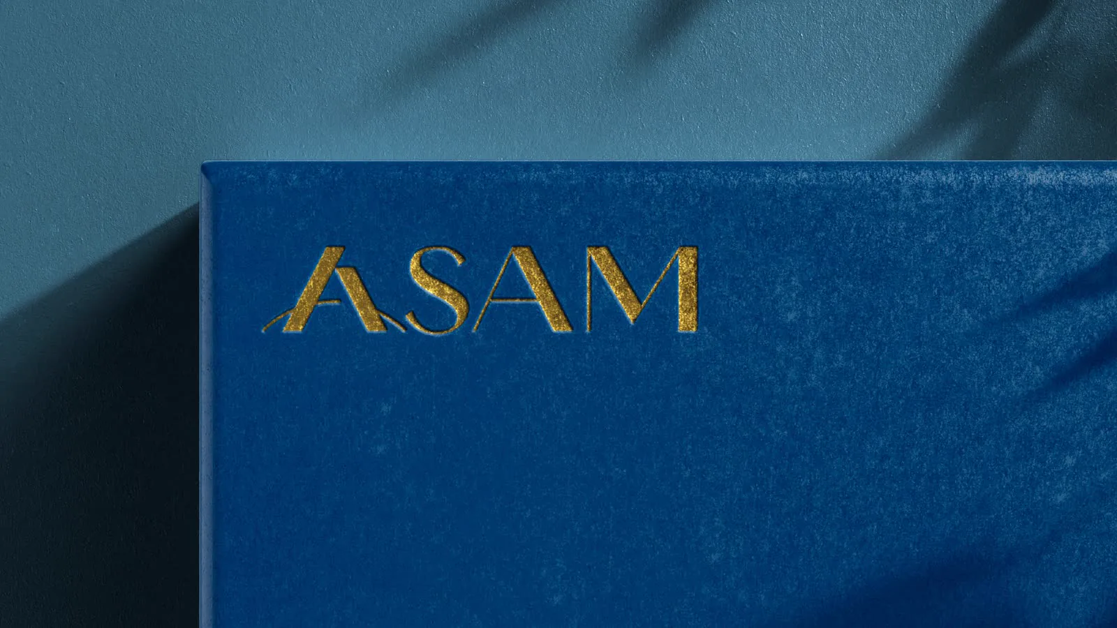 Pasta azul com o logotipo em dourado, sob sombra de folhagem.